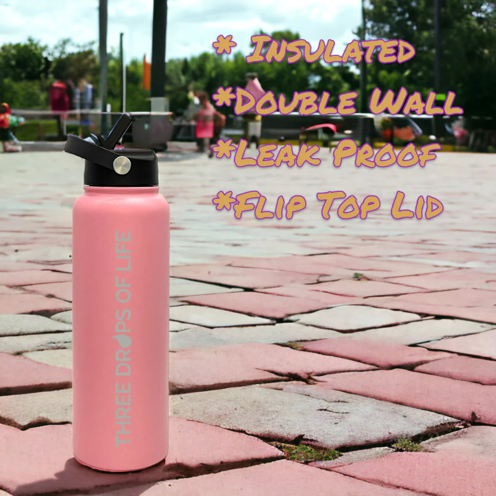 Stainless Steel Insulated Bottles